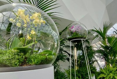 Allestimento di una serra ecosostenibile
