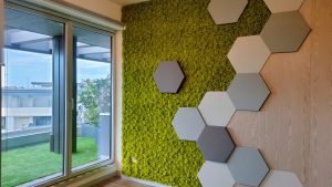 Arredo e comunicazione verticale per uffici. Key Comunicazione, in collaborazione con lo Studio di Architettura Barbato, ha ricevuto l’incarico di progettare e allestire le pareti degli spazi comuni e degli uffici di un’importante azienda leader mondiale. Giardino vertical su un muro bianchi con figure geometriche a forma essagonale in tre tonalità di griggio fanno accordi visuali con il pavimento di legno naturale oscuro dona calore alla stanza di riunioni. una porta finestra permette il paso della luce naturale che illumina la stanza.